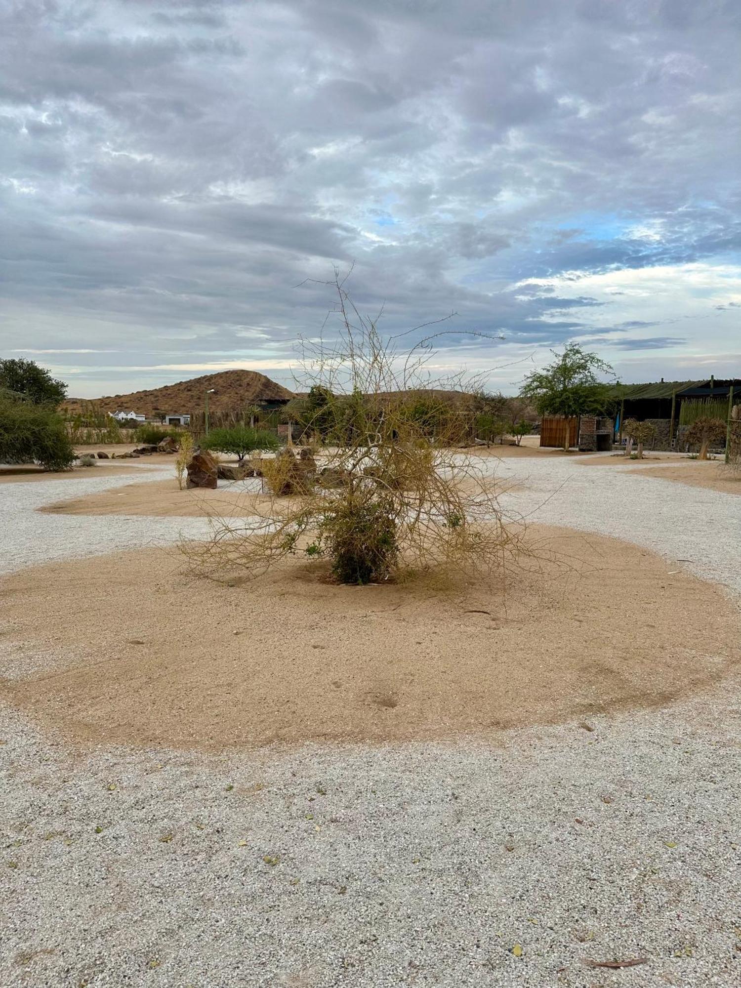 Daureb Isib Campsite And B&B Uis Dış mekan fotoğraf