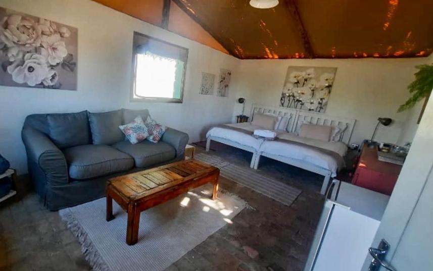 Daureb Isib Campsite And B&B Uis Dış mekan fotoğraf