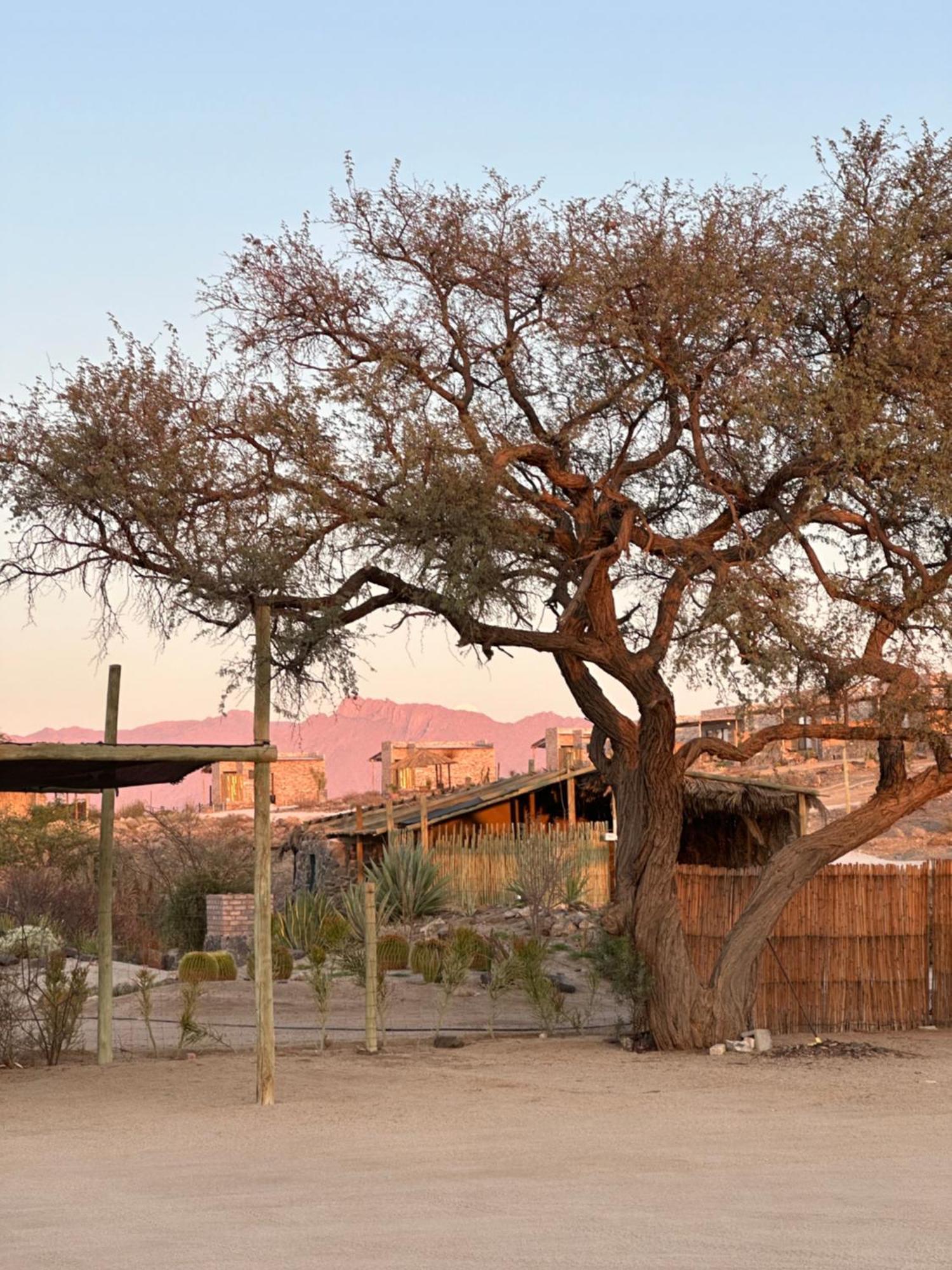 Daureb Isib Campsite And B&B Uis Dış mekan fotoğraf
